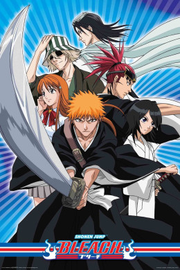 Bleach 2004