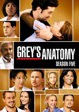 Grey's Anatomy (Season 5) 2008