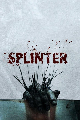 Splinter 2008