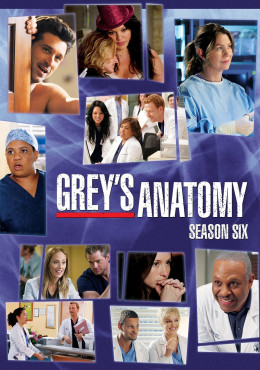 Grey's Anatomy (Season 6)