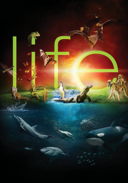 BBC: Life 2009