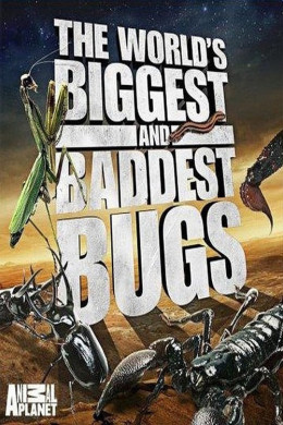 The World's Biggest and Baddest Bugs 2009