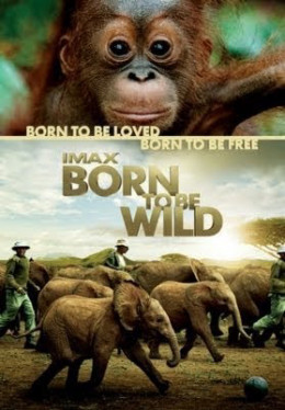 Born to Be Wild 2011