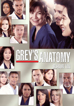 Grey's Anatomy (Season 10)