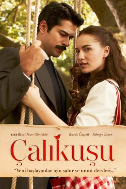 Calikusu