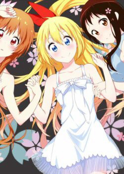 NiseKoi 2013