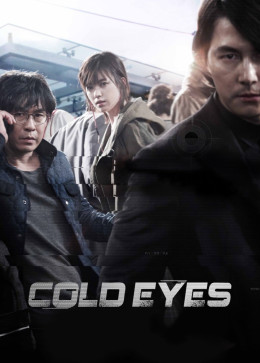 Cold Eyes 2013