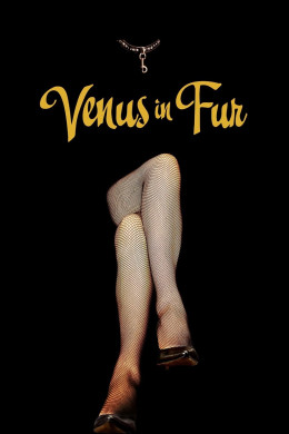 Venus in Fur (La Vénus à la fourrure) 2013