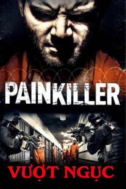 Painkiller