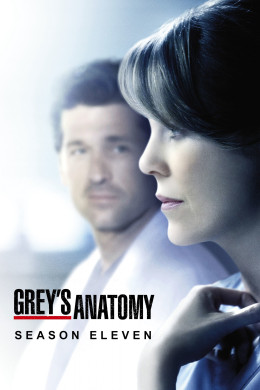 Grey's Anatomy (Season 11) 2014