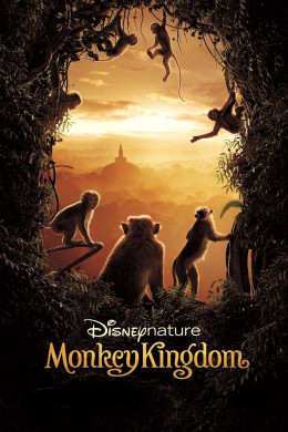 Monkey Kingdom 2015