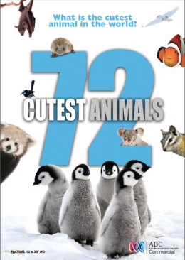 72 Cutest Animals 2016