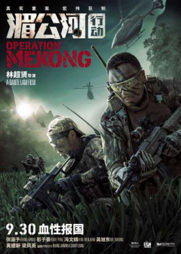 Operation Mekong