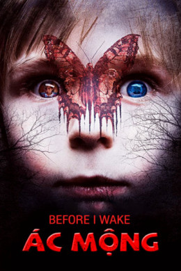 Before I Wake