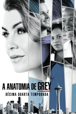 Grey's Anatomy (Season 14) 2017