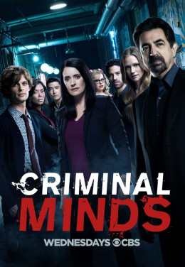 Criminal Minds (Season 13)