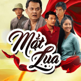 Mắt Lụa 2017