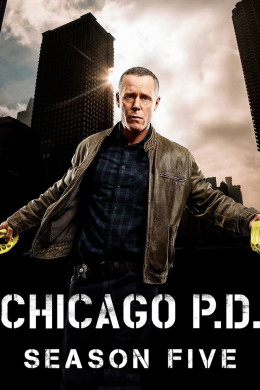 Chicago P.D. (Season 5) 2017