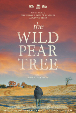 The Wild Pear Tree 2018