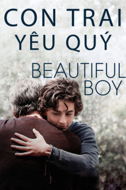 Beautiful Boy 2018