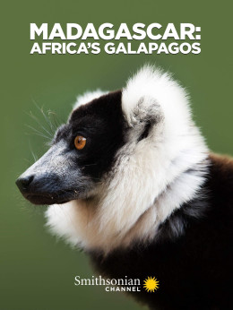 Madagascar: Africa's Galapagos 2019