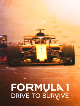 Formula 1: Drive to Survive (Season 2) 2020