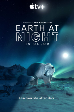 Night on Earth: Shot in the Dark 2020