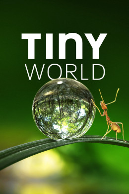 Tiny World (Season 1) 2020