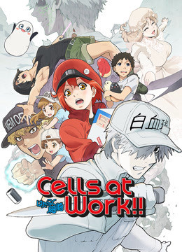 Cells at Work! S2 2021