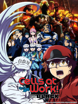 Hataraku Saibou Black 2021