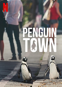 Penguin Town 2021