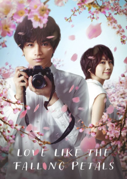 Love Like the Falling Petals 2022