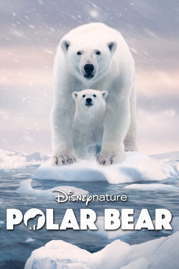 Polar Bear 2022