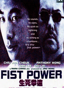 Fist Power 2000