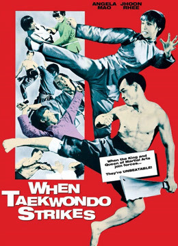 When Taekwondo Strikes 1973